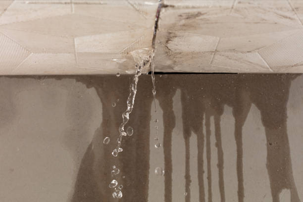 Professional Water Extraction technician working in Stoneham, CO